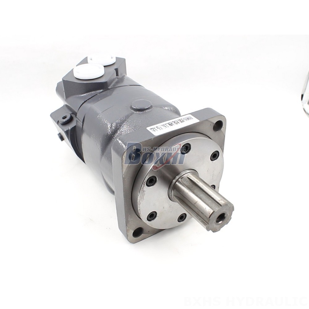 BM6 Cycloid Hydraulic Motor OEM/ODM Services: 195 cc/r, 150 Lpm cover photo